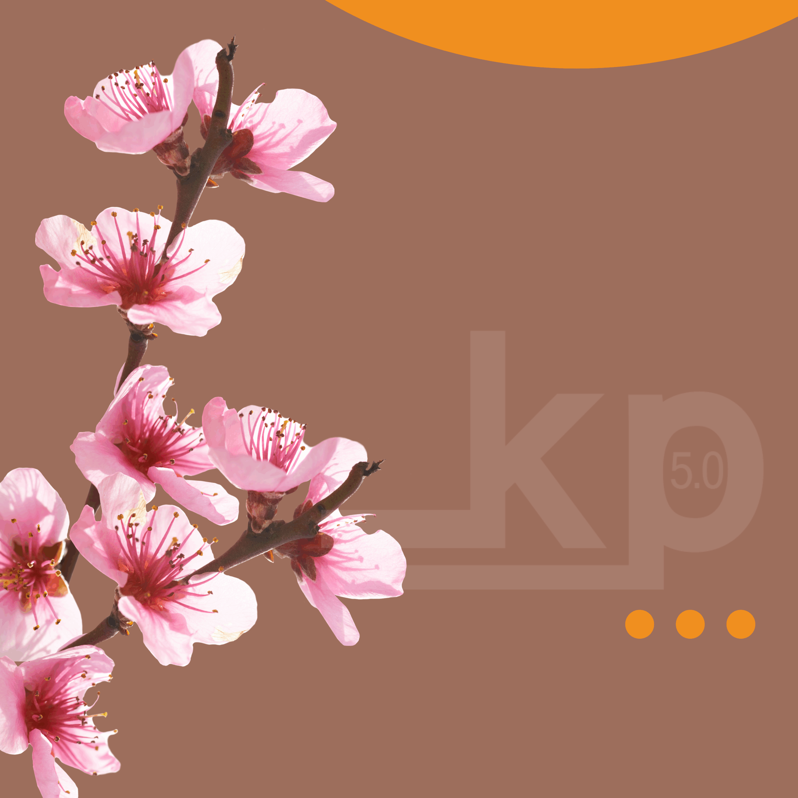 Hanami: l’arte giapponese di spegnere il rumore mentale e ritrovare chiarezza nel business